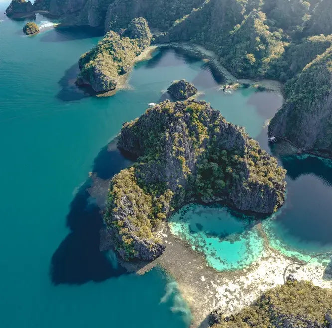 MOOD Naturals - Philippine Islands