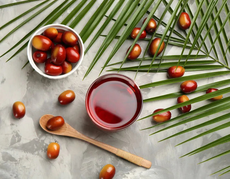 MOOD Tropical Detox - Rotes Bio-Palmfruchtöl, auch als Red Palm Oil (RPO) oder tocotrienolreiches Palmöl (TROP) bezeichnet, gewinnt in der Wirkstoffkosmetik immer mehr an Bedeutung.